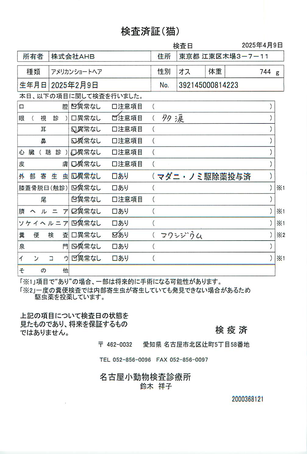 アメリカンショートヘア