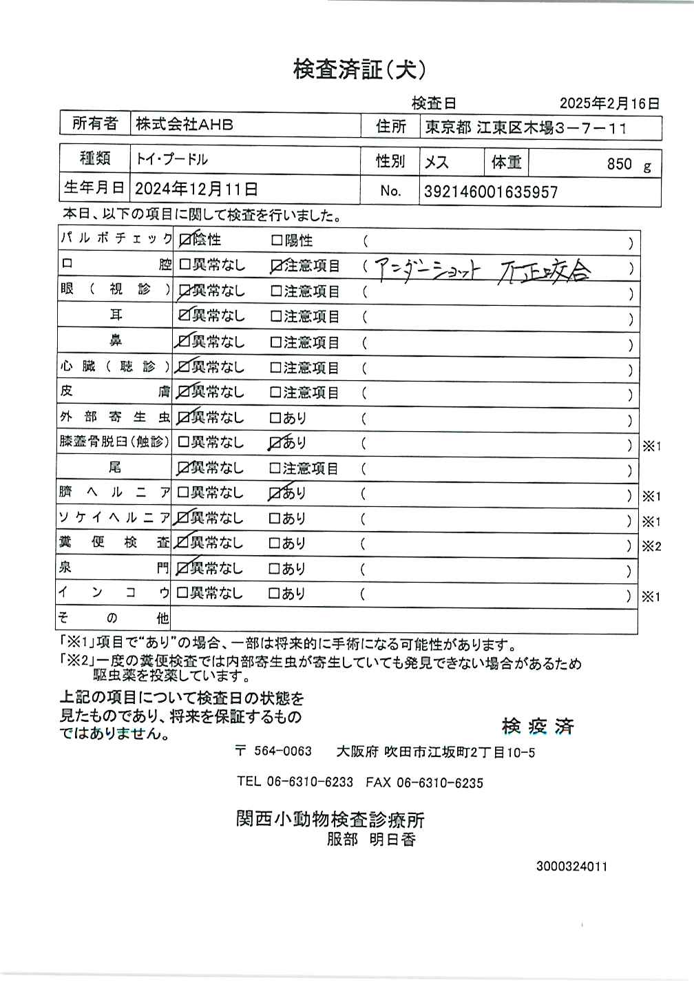 トイ・プードル