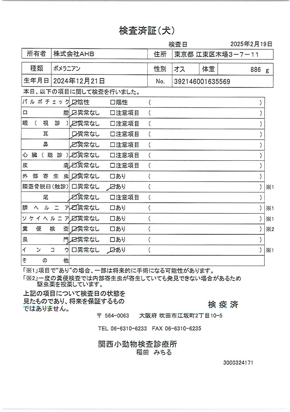 ポメラニアン