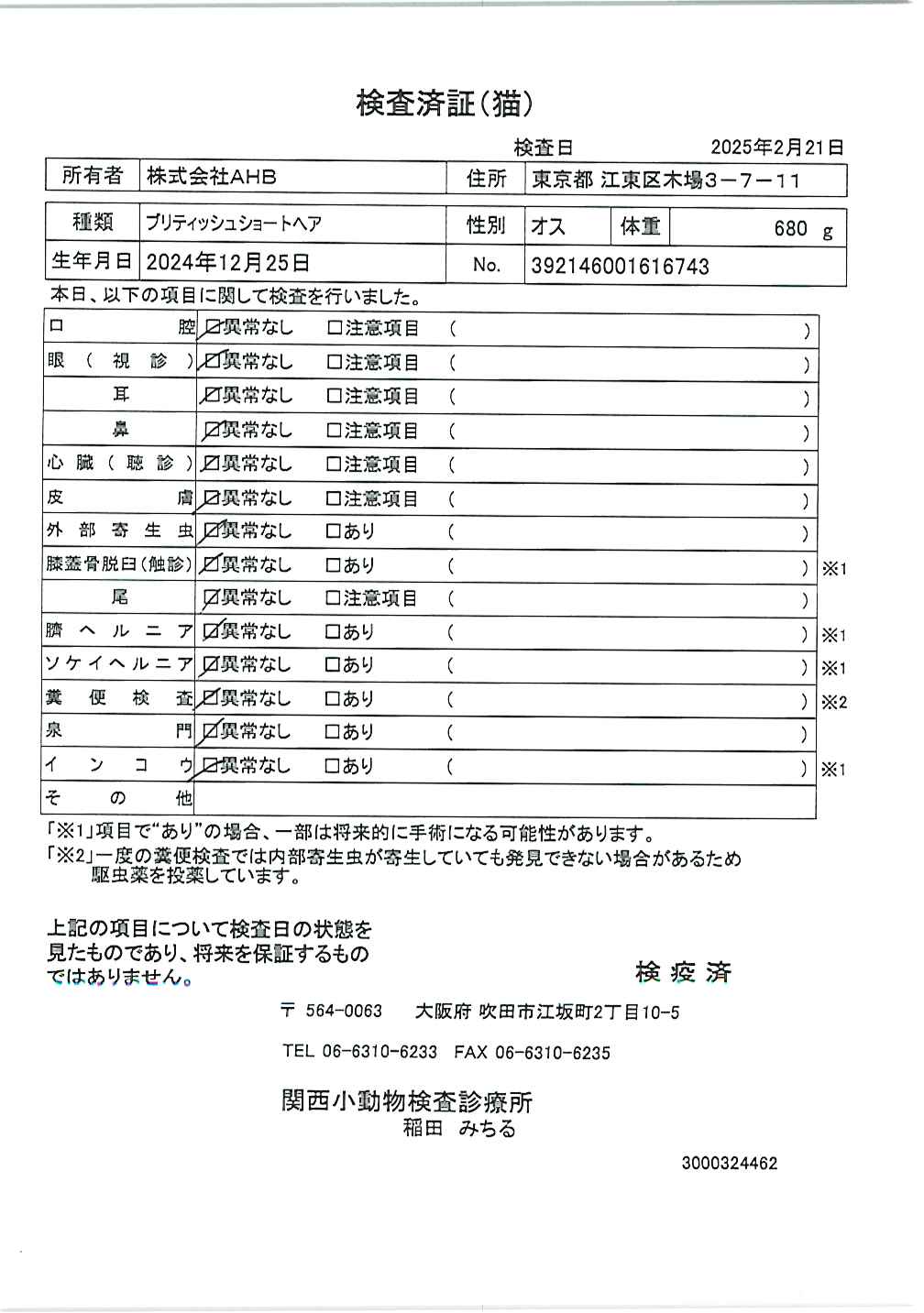 ブリティッシュショートヘア