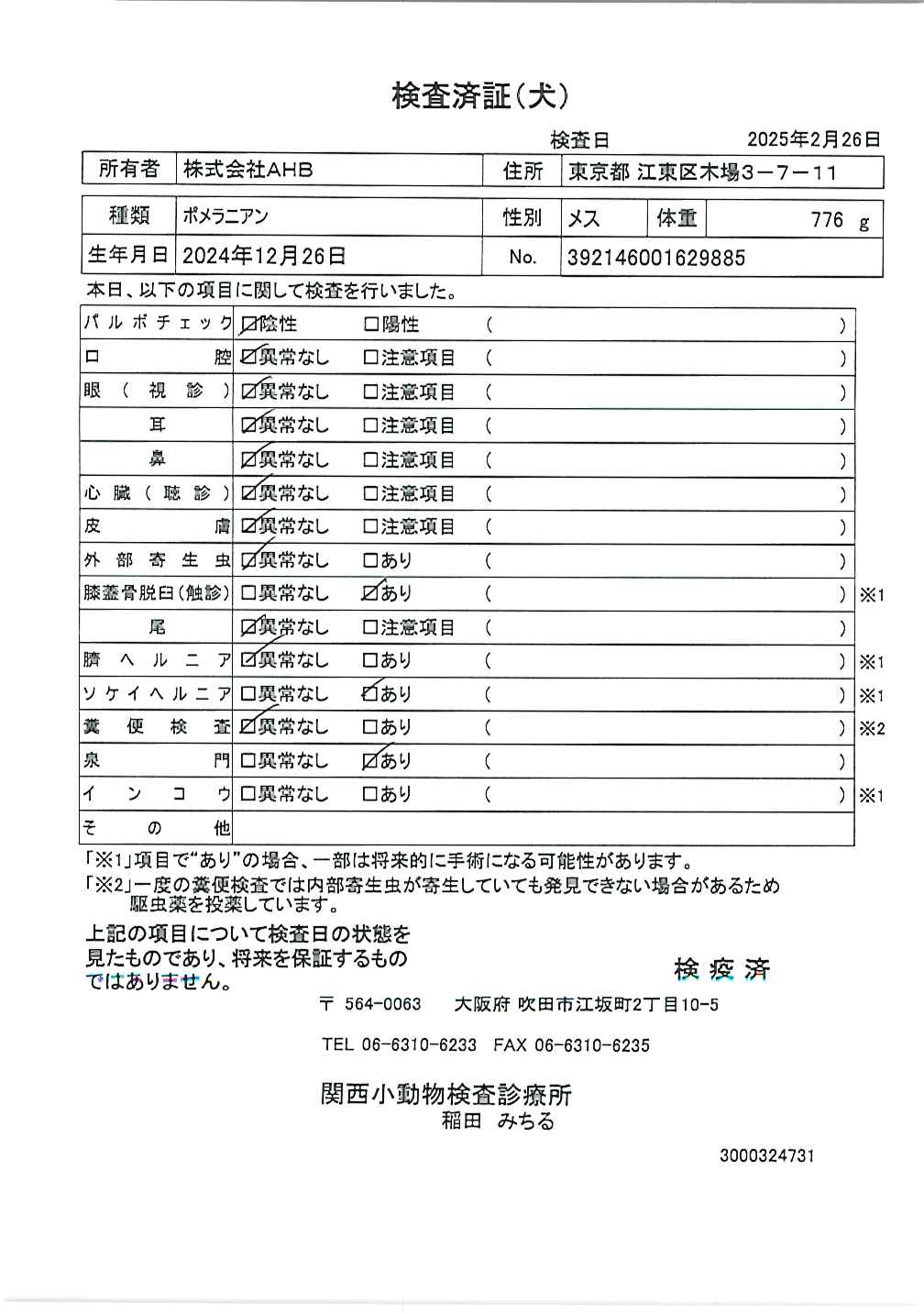 ポメラニアン