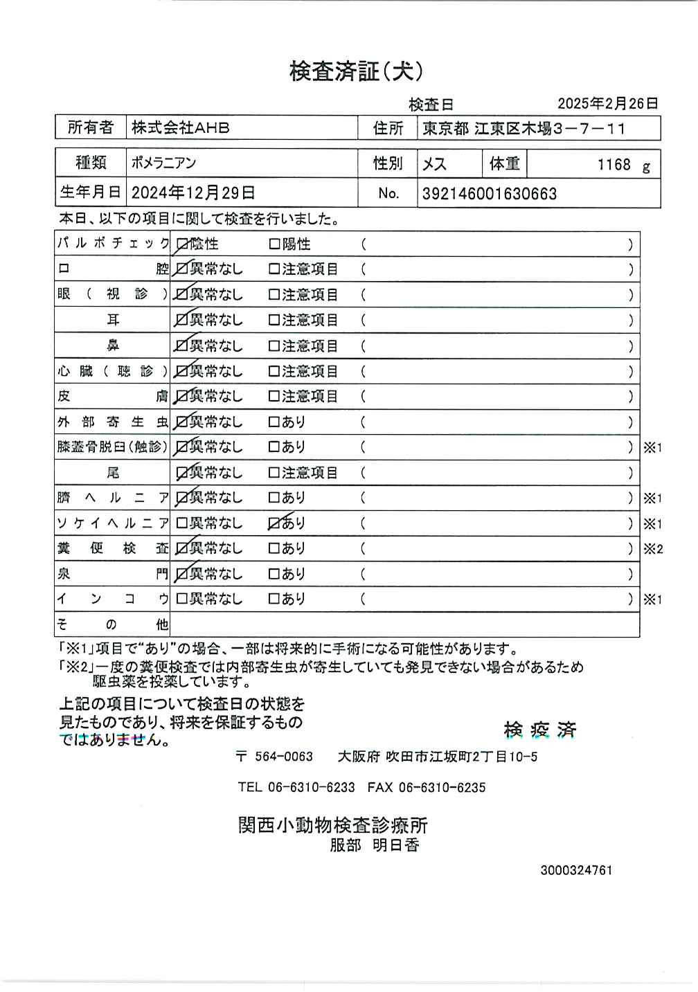 ポメラニアン