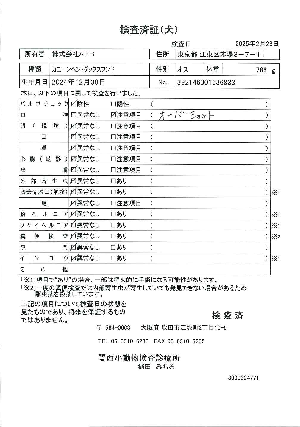 カニーンヘン・ダックスフンド