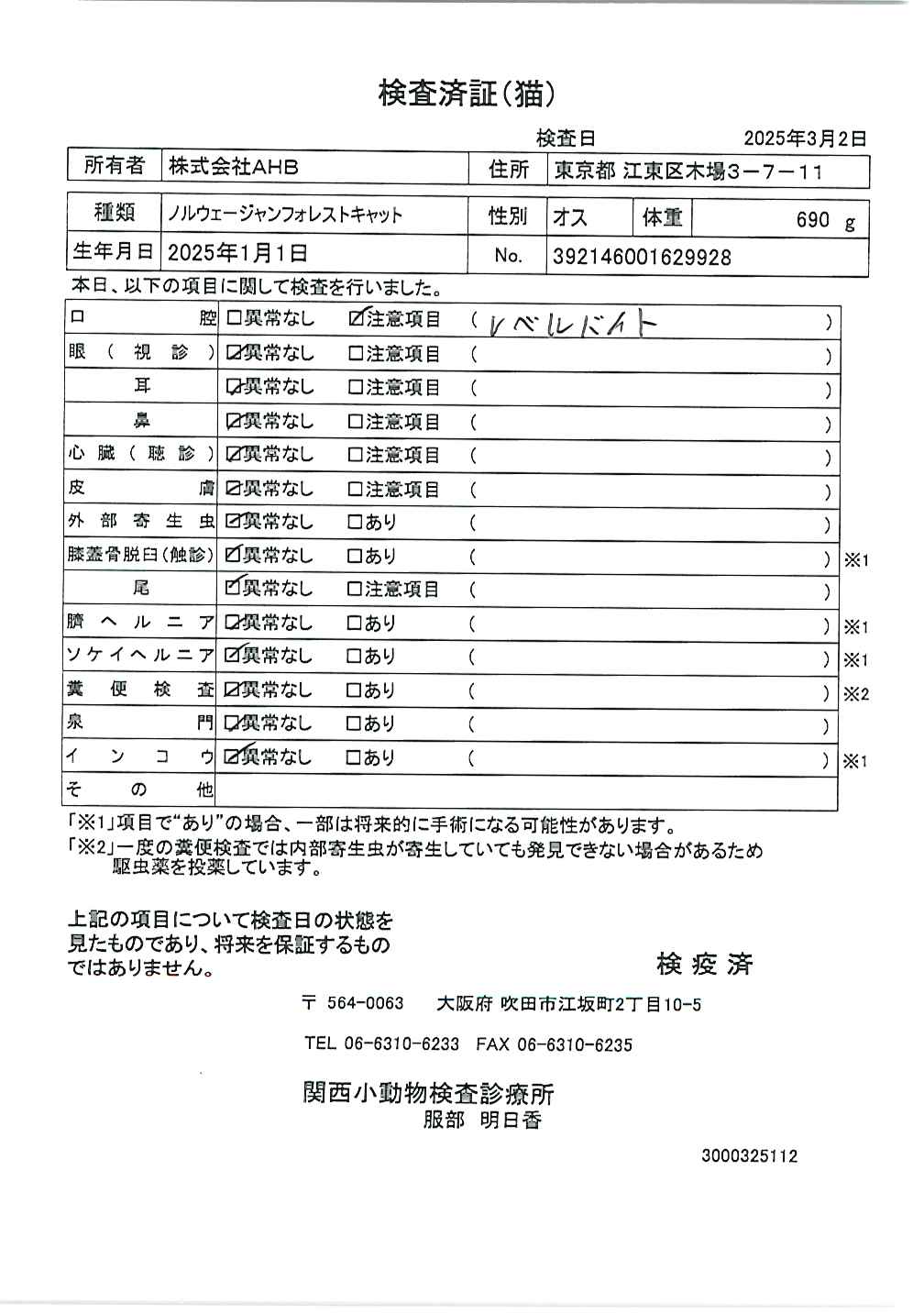 ノルウェージャンフォレストキャット