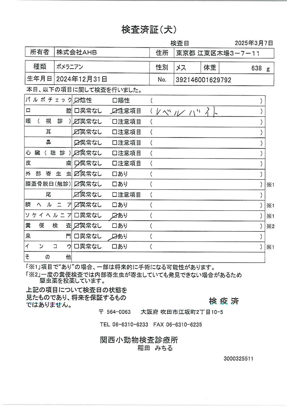 ポメラニアン