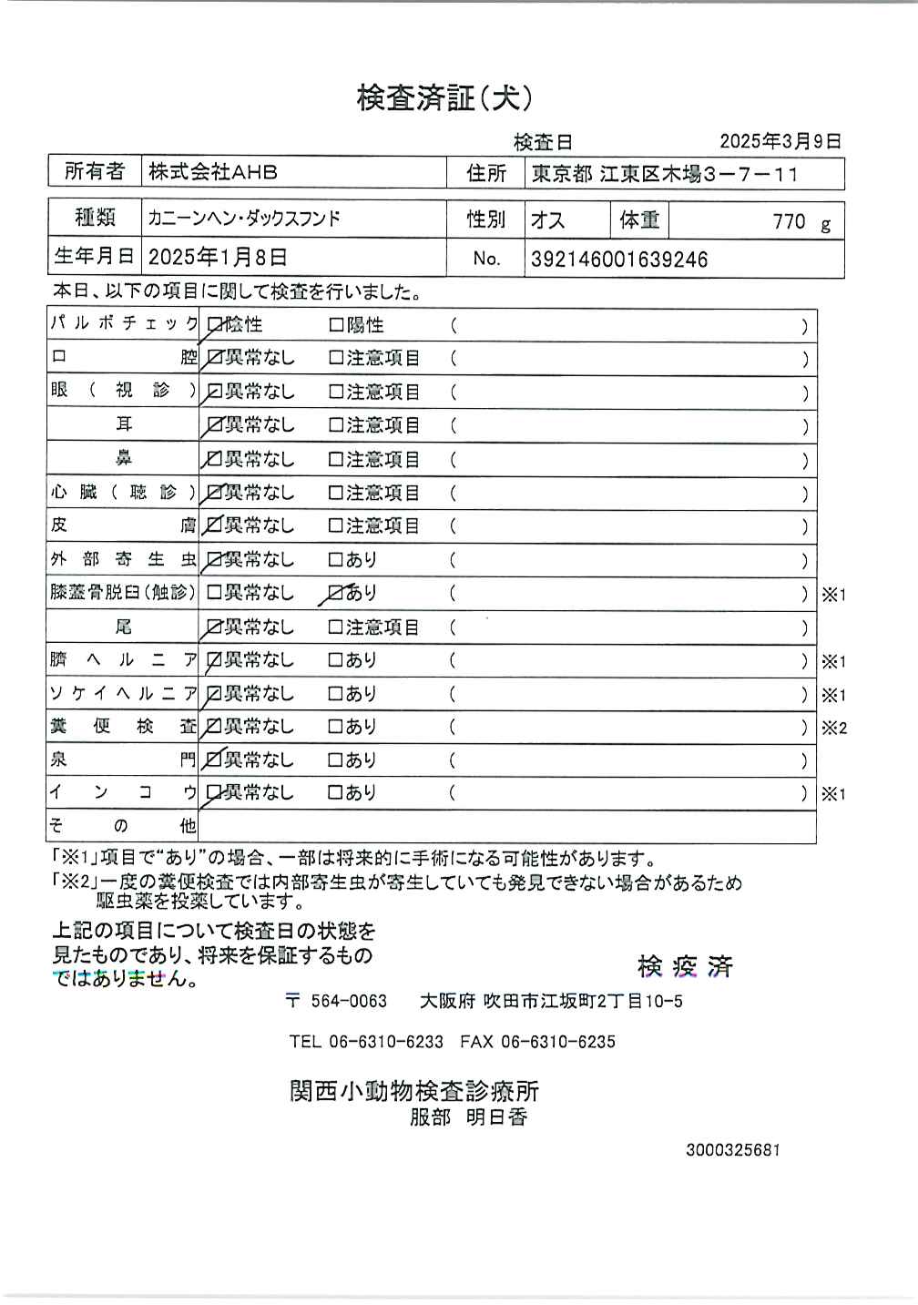 カニーンヘン・ダックスフンド