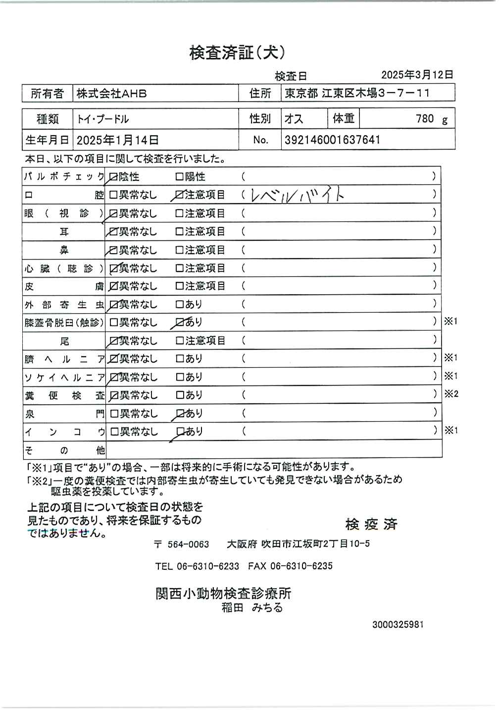 トイ・プードル