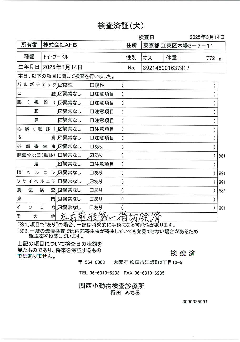 トイ・プードル