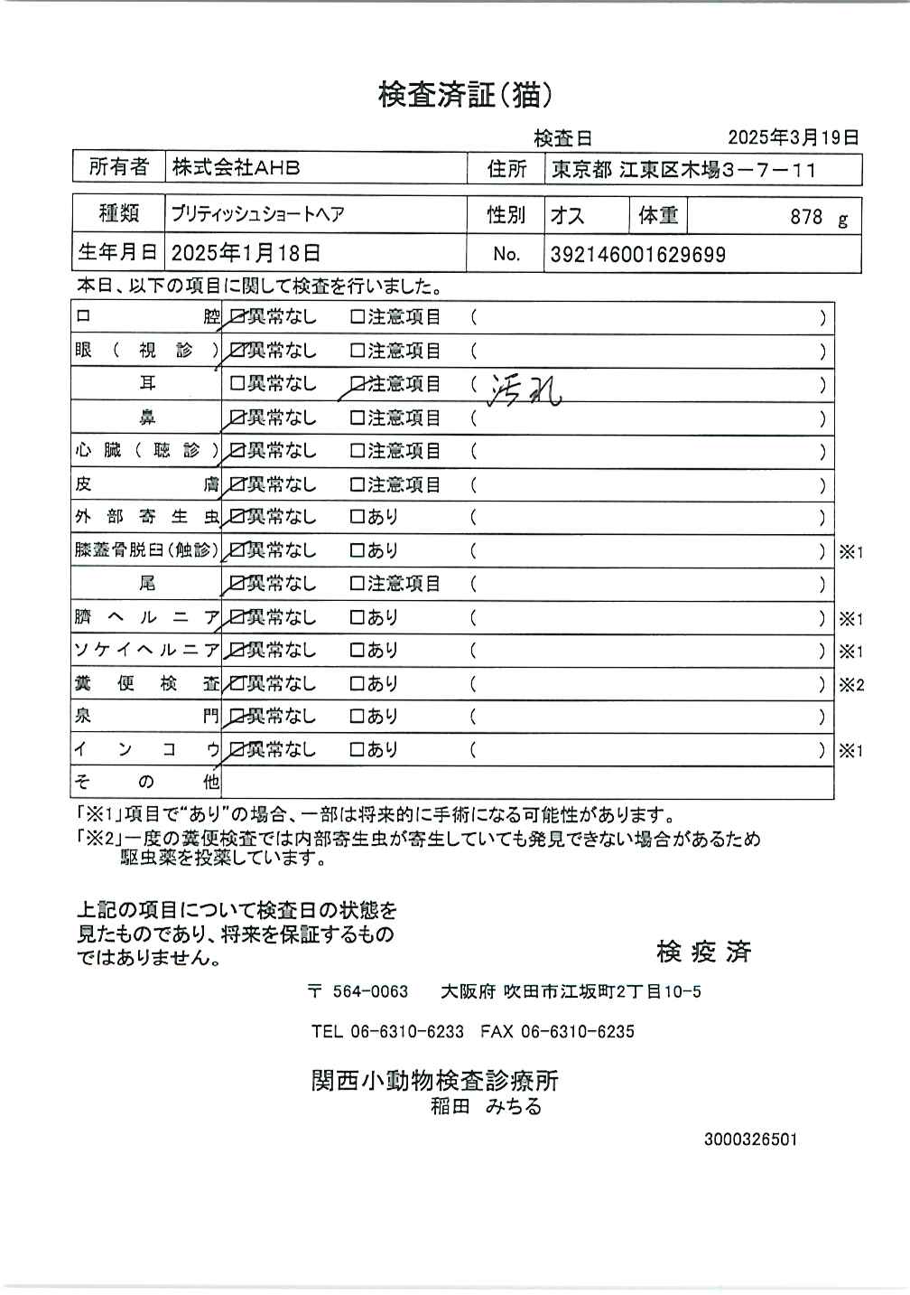 ブリティッシュショートヘア