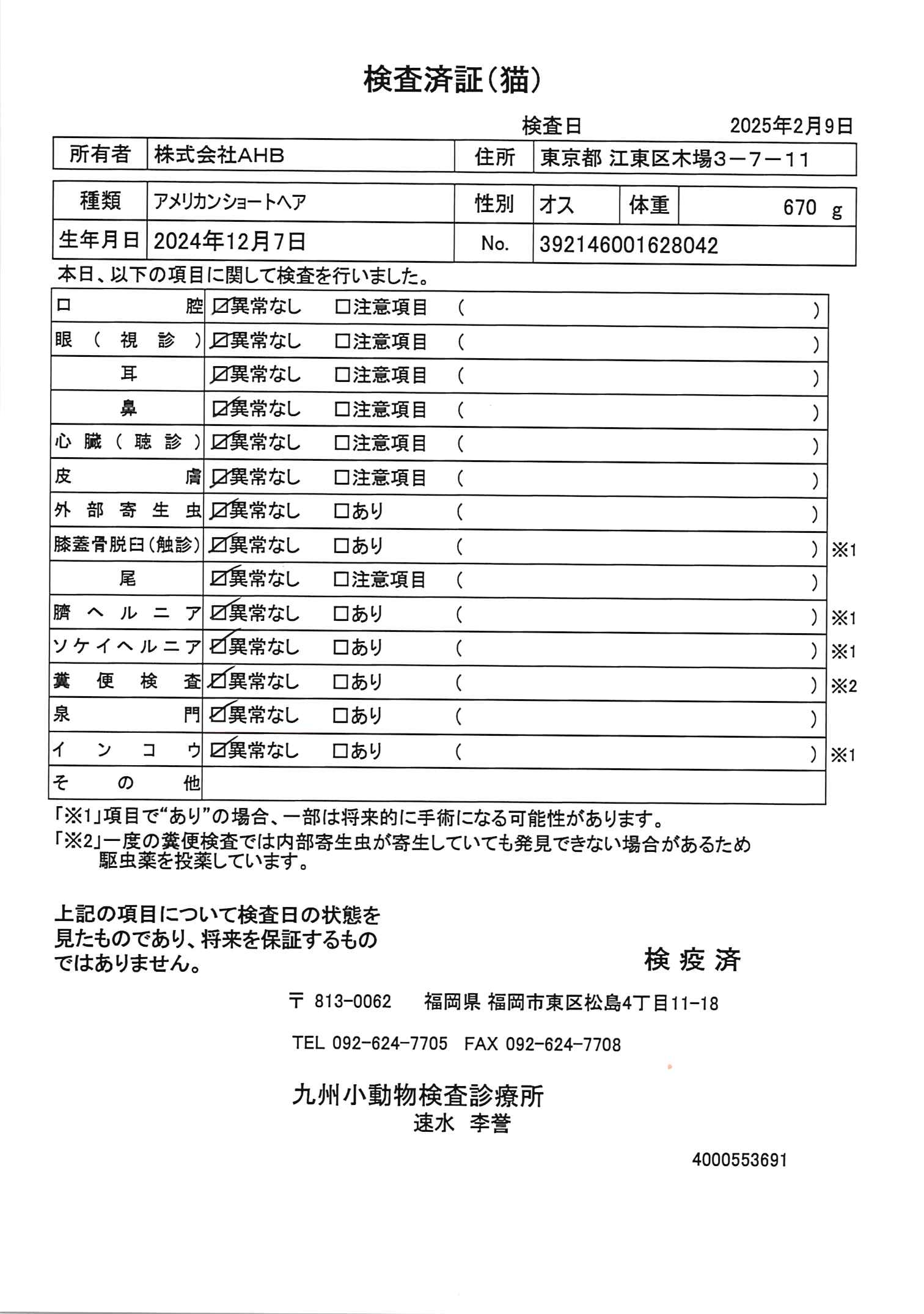 アメリカンショートヘア