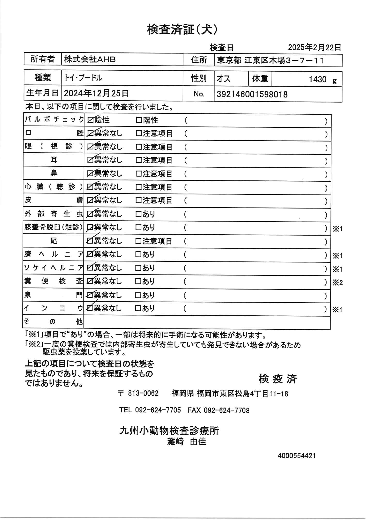 トイ・プードル