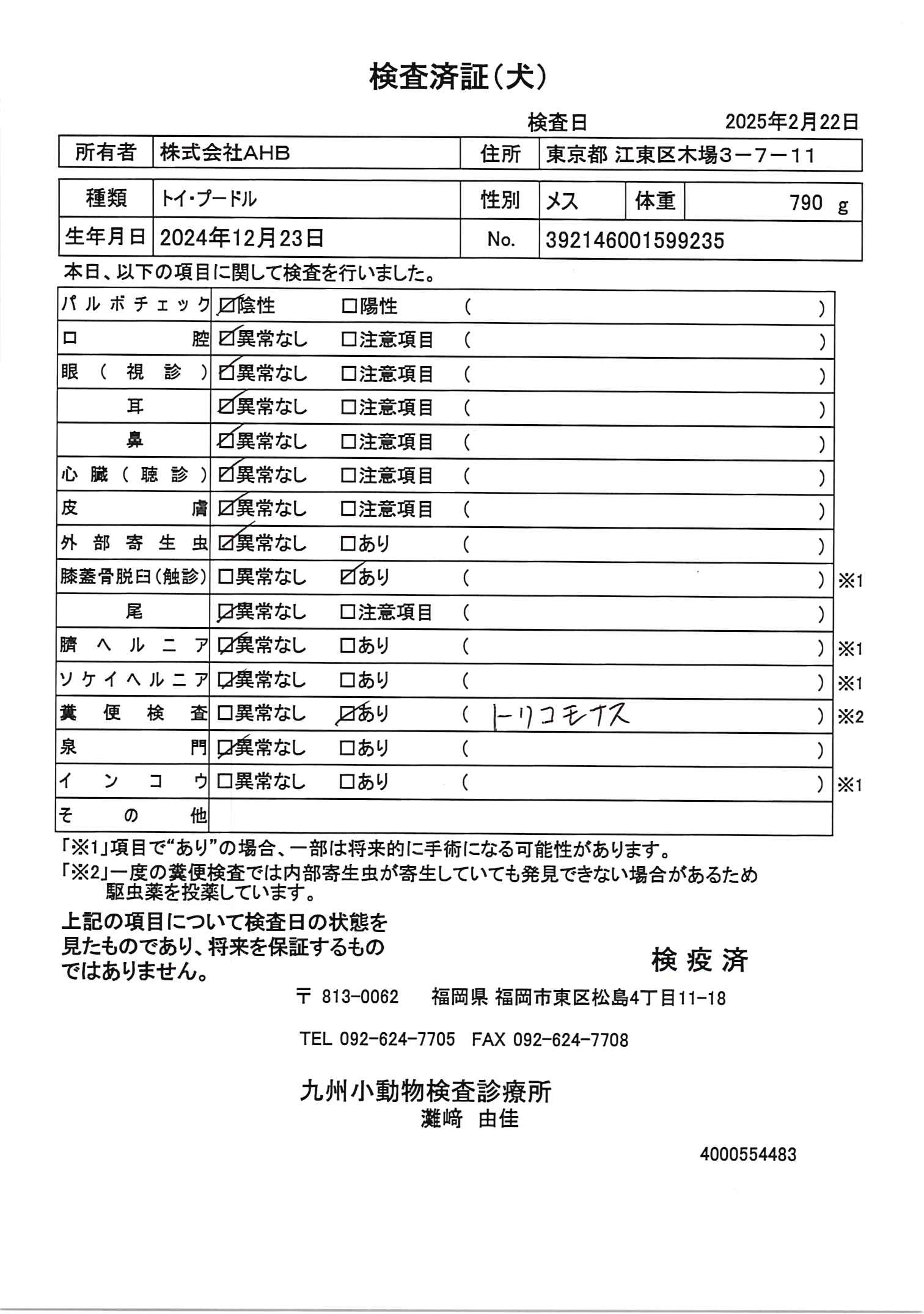 トイ・プードル