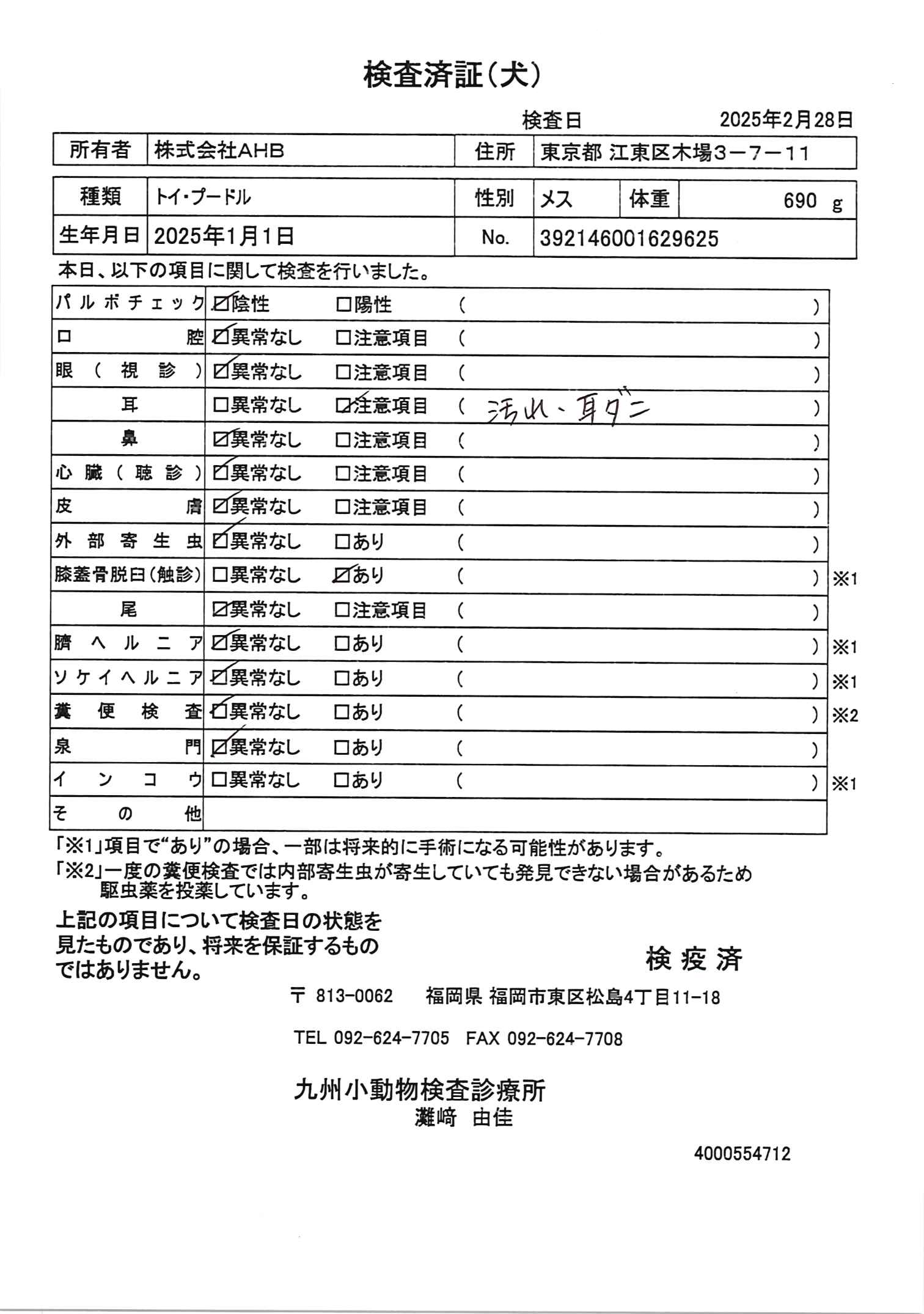 トイ・プードル