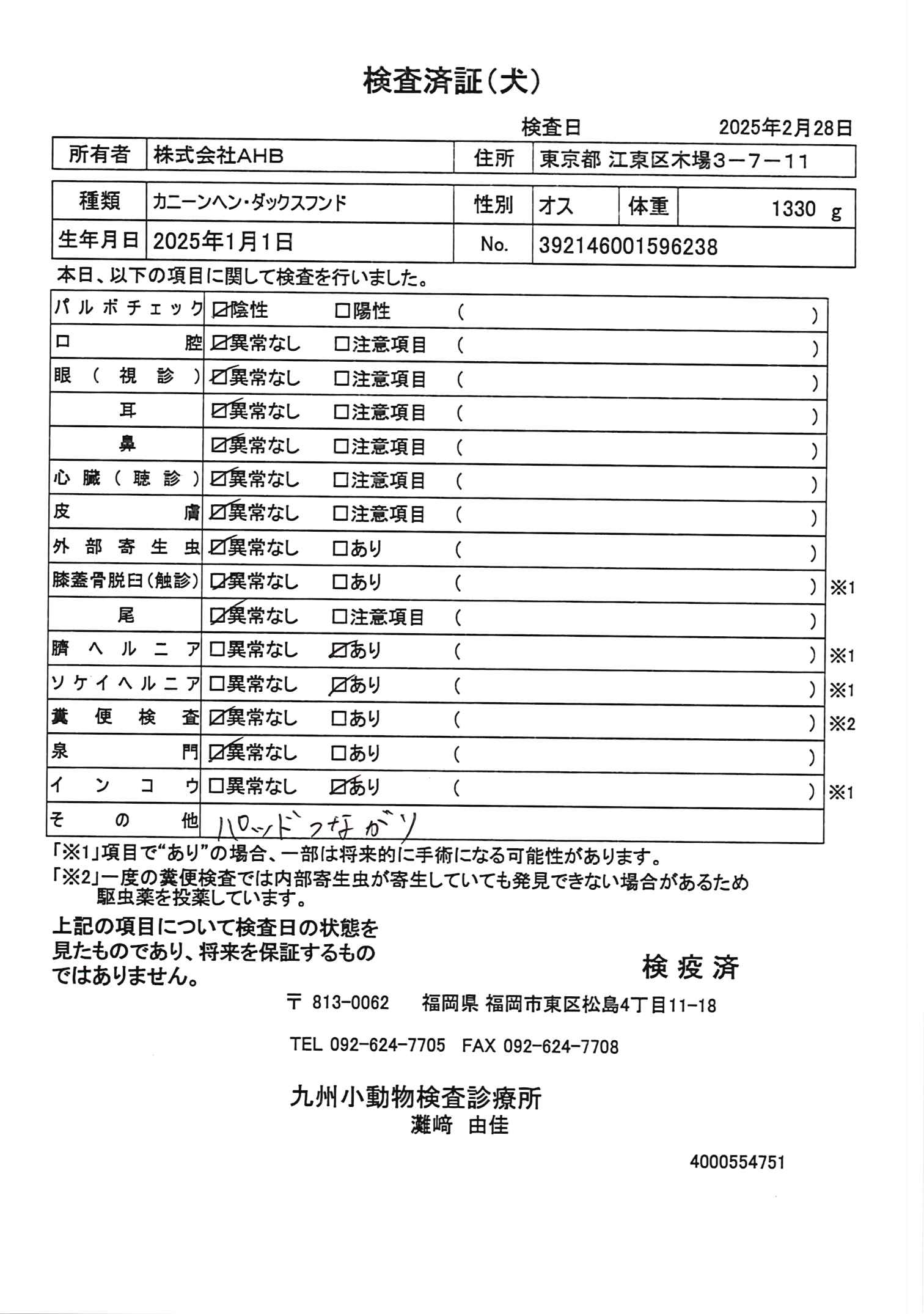 カニーンヘン・ダックスフンド