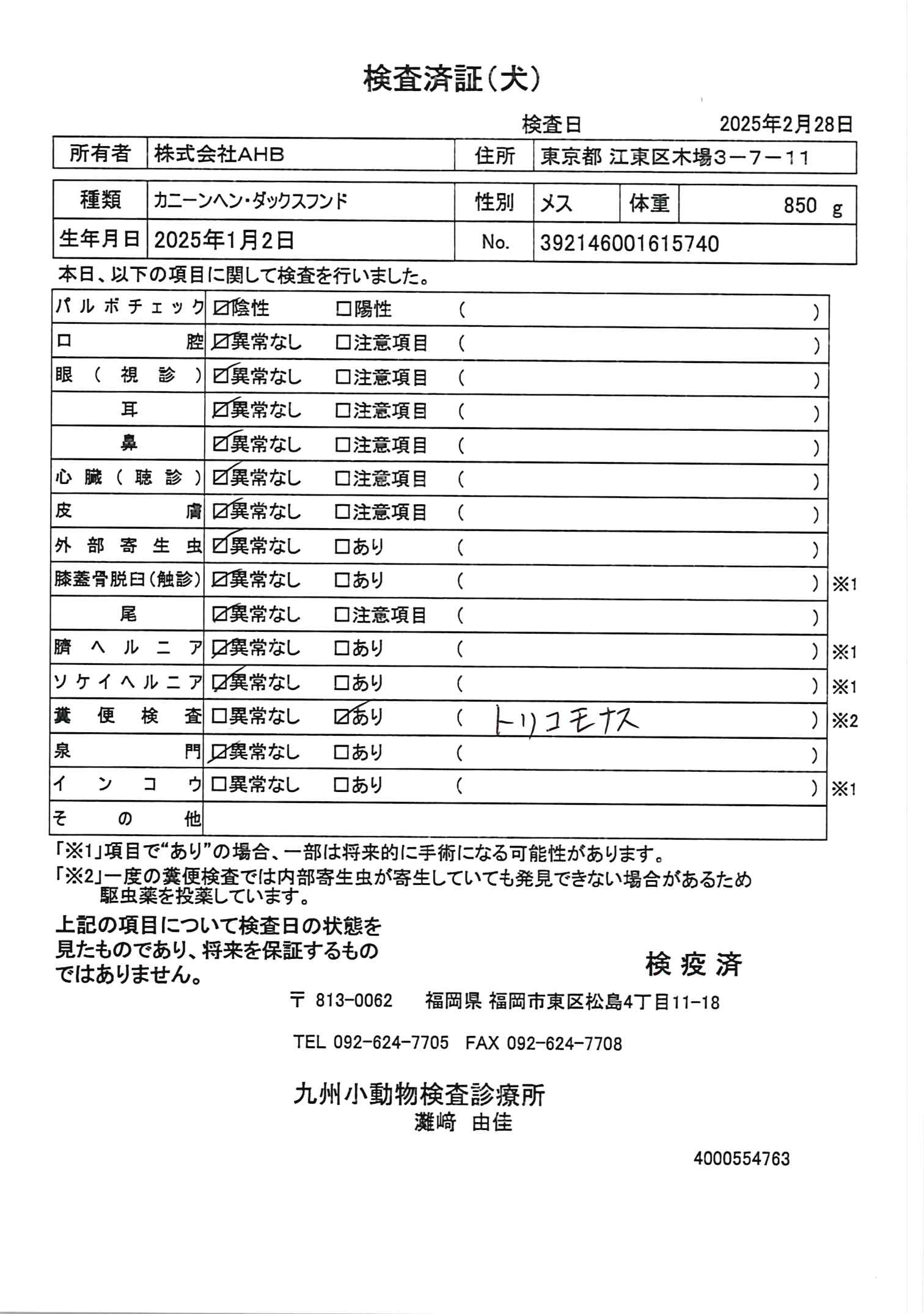 カニーンヘン・ダックスフンド