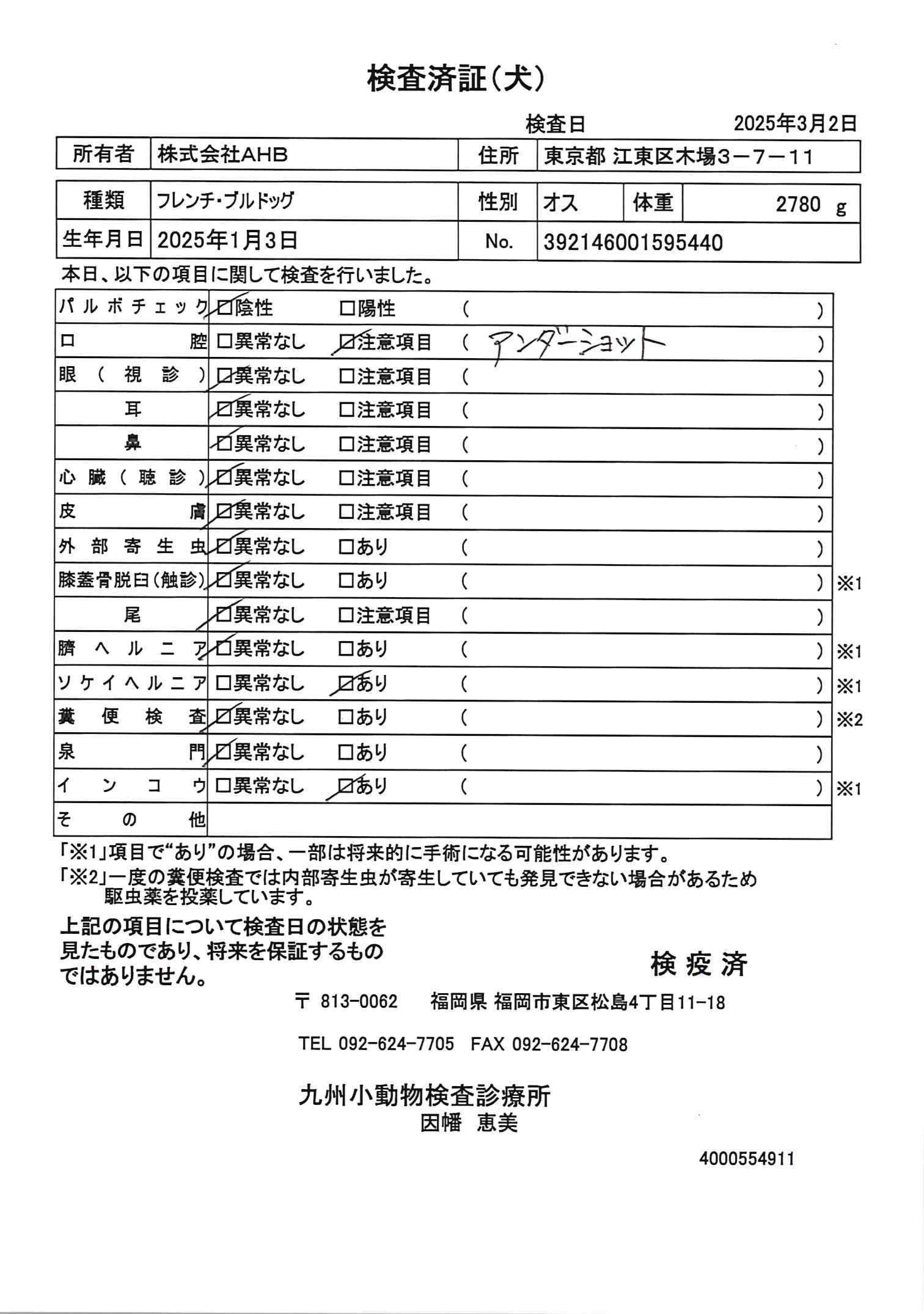 フレンチ・ブルドッグ