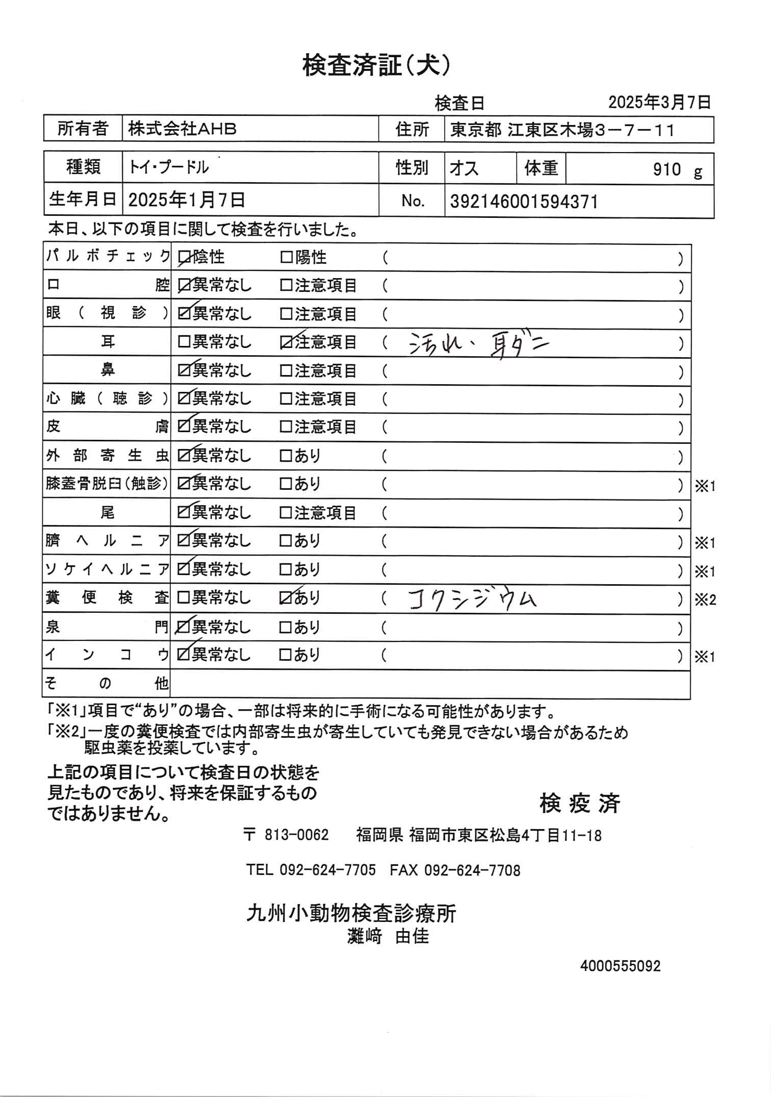 トイ・プードル