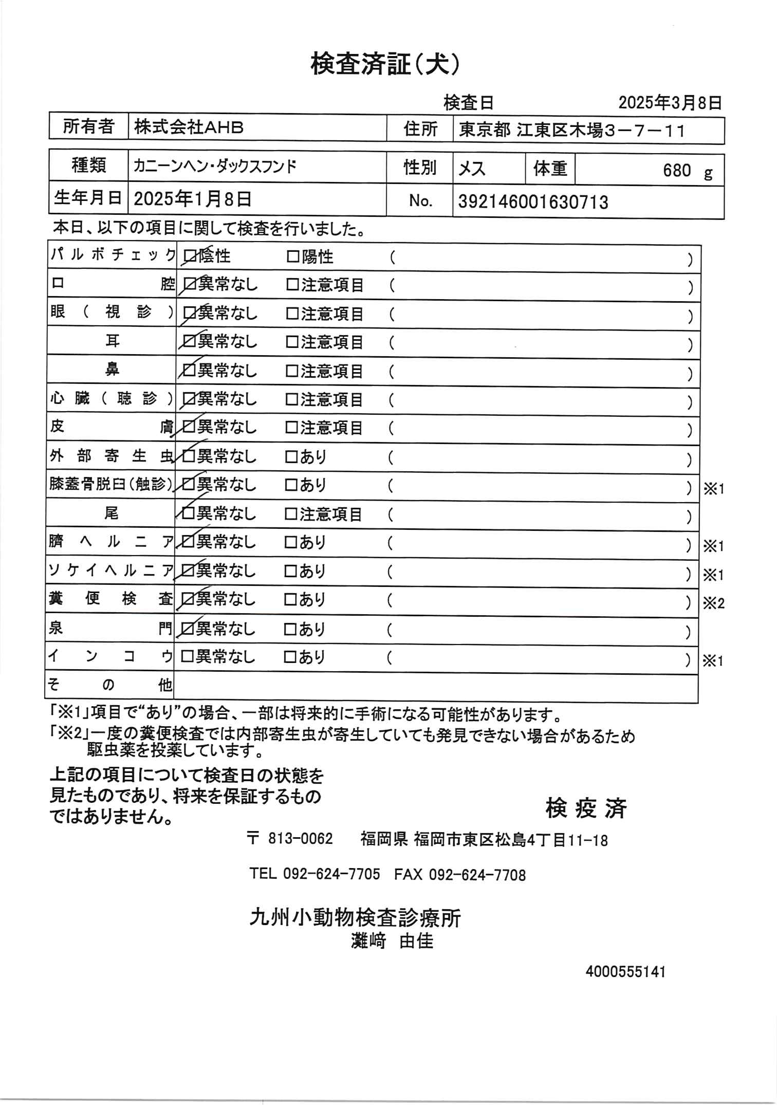 カニーンヘン・ダックスフンド