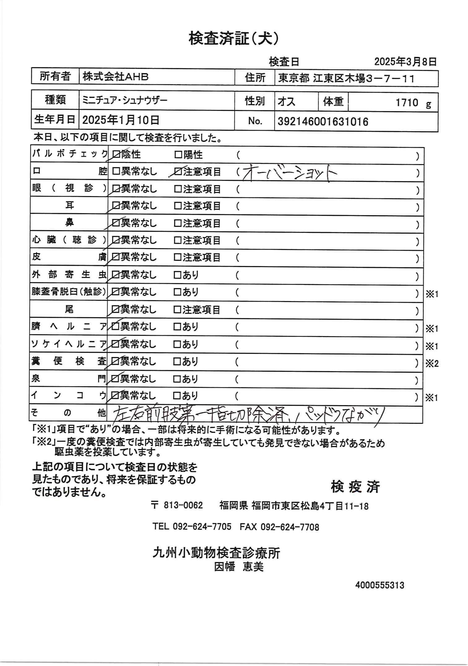 ミニチュア・シュナウザー