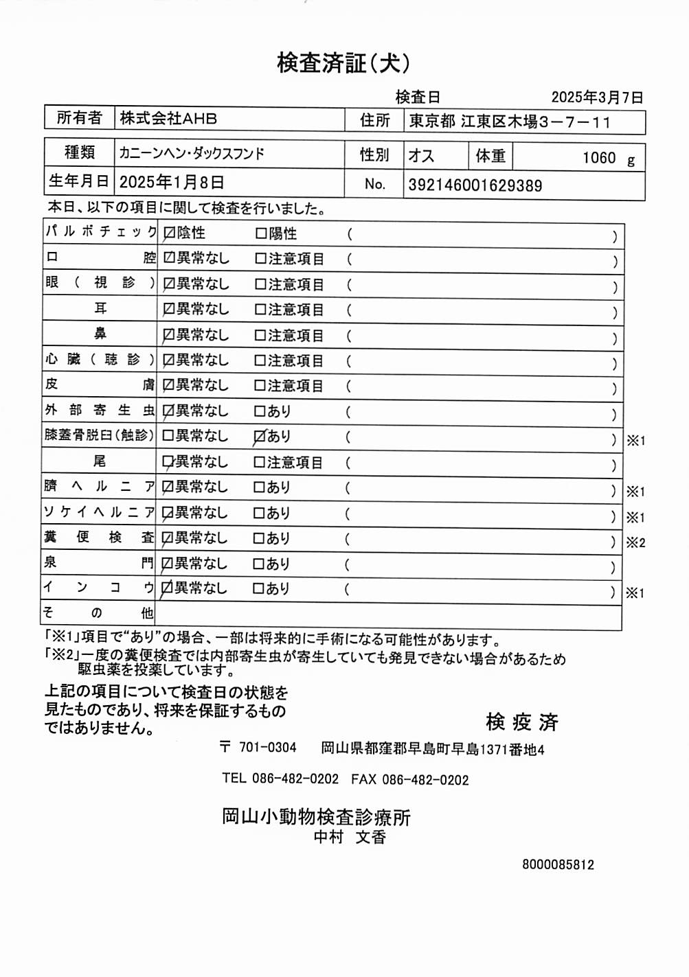 カニーンヘン・ダックスフンド