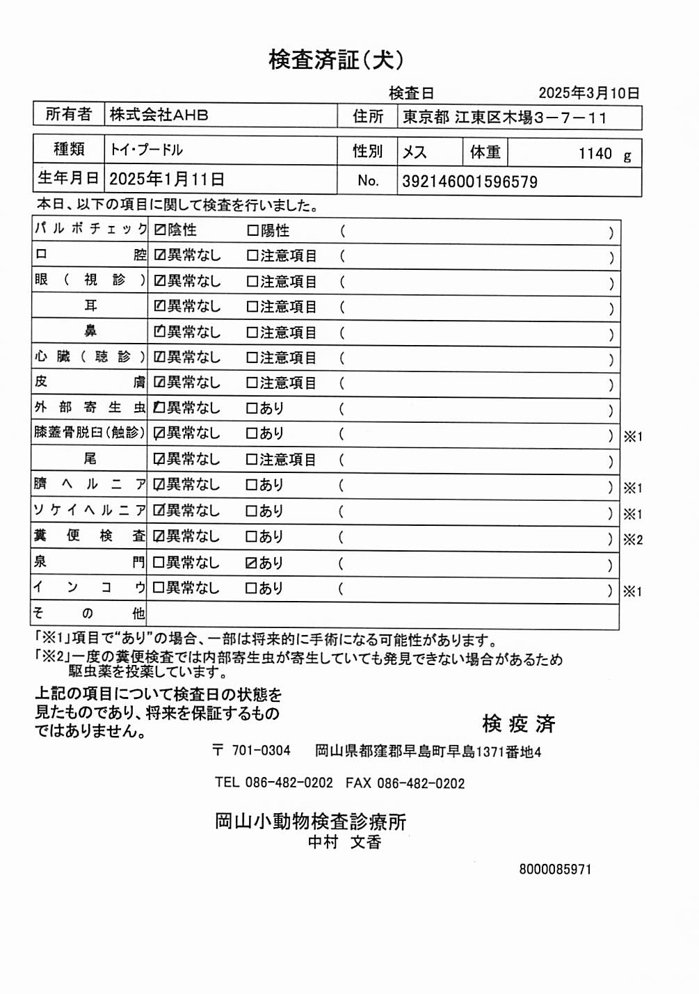 トイ・プードル