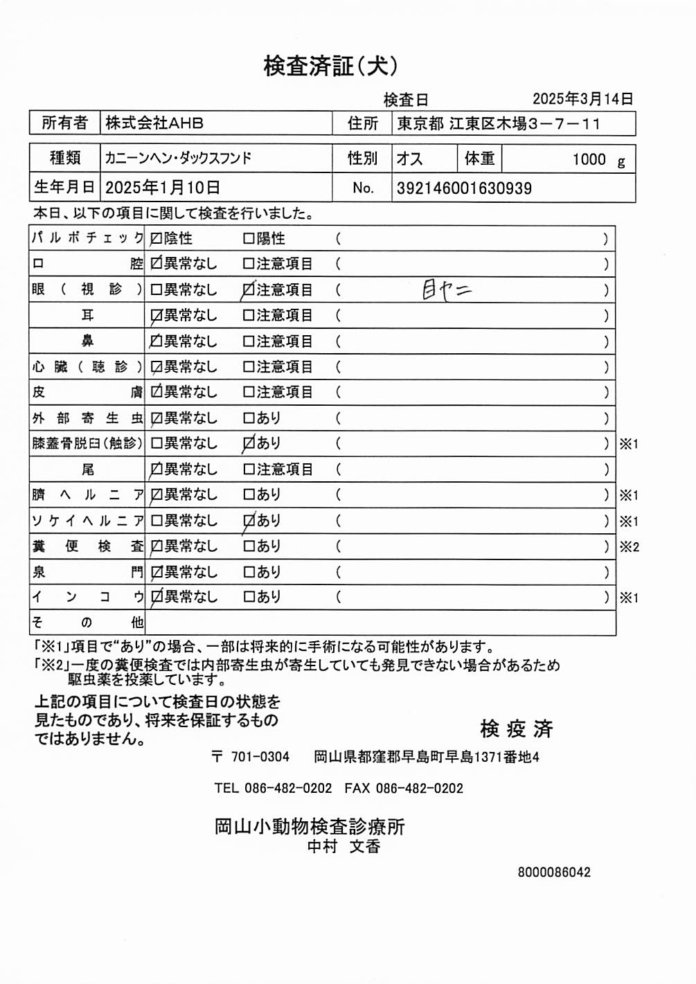 カニーンヘン・ダックスフンド