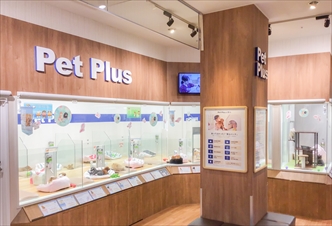 ペットプラス成田店 子犬 子猫専門ペットショップの Petplus ペットプラス