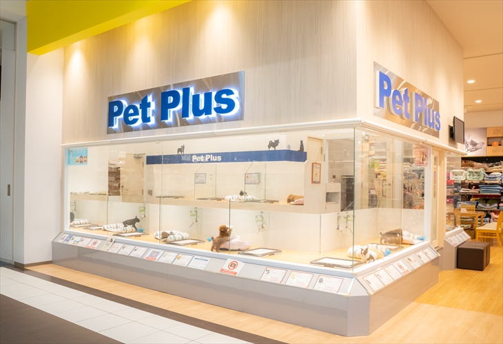 ペットプラス与野店 子犬 子猫専門ペットショップの Petplus ペットプラス