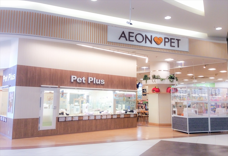 ペットプラス浦和美園店 子犬 子猫専門ペットショップの Petplus ペットプラス