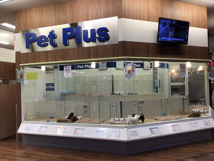 ペットプラス イオンモール春日部店 子犬 子猫専門ペットショップの Petplus ペットプラス