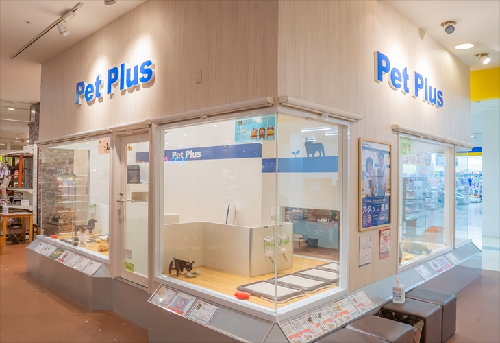 ペットプラス ビアレ横浜店 子犬 子猫専門ペットショップの Petplus ペットプラス