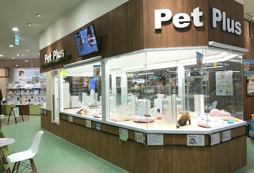 ペットプラス上尾店 子犬・子猫専門ペットショップの「PetPlus（ペットプラス）」