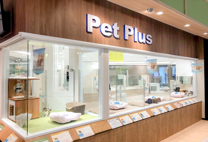 ペットプラス川口店 子犬・子猫専門ペットショップの「PetPlus（ペットプラス）」