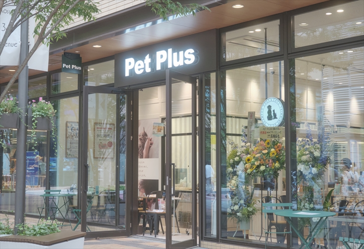 ペットプラス武蔵小杉店 子犬 子猫専門ペットショップの Petplus ペットプラス