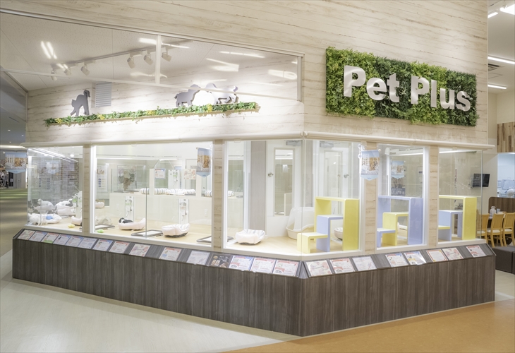 ペットプラスmozoワンダーシティ店 子犬 子猫専門ペットショップの Petplus ペットプラス