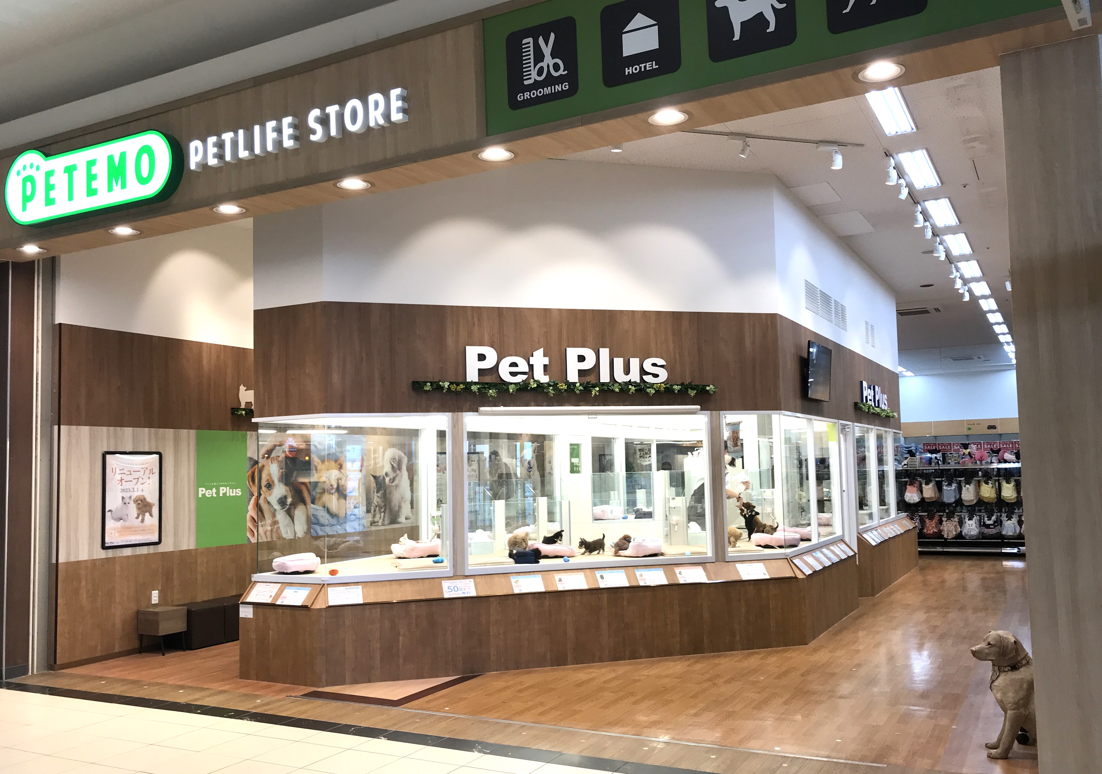 ペットプラスりんくう泉南店 子犬 子猫専門ペットショップの Petplus ペットプラス