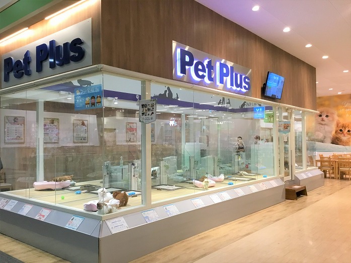 ペットプラスイオン大日店 子犬 子猫専門ペットショップの Petplus ペットプラス