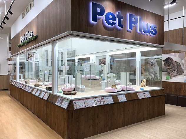 ペットプラス京都桂川店 子犬 子猫専門ペットショップの Petplus ペットプラス