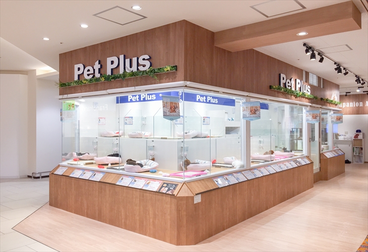 ペットプラス沖縄ライカム店 子犬 子猫専門ペットショップの Petplus ペットプラス